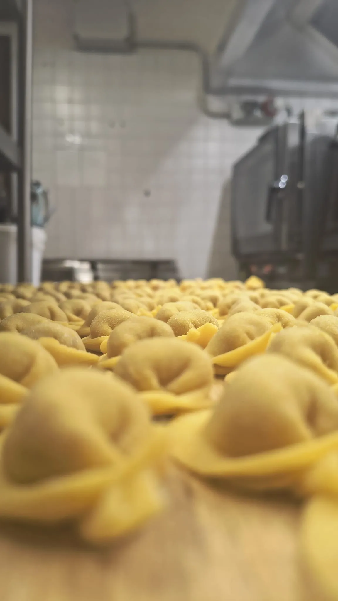 Tortelli freschi in fila nella cucina dell’osteria