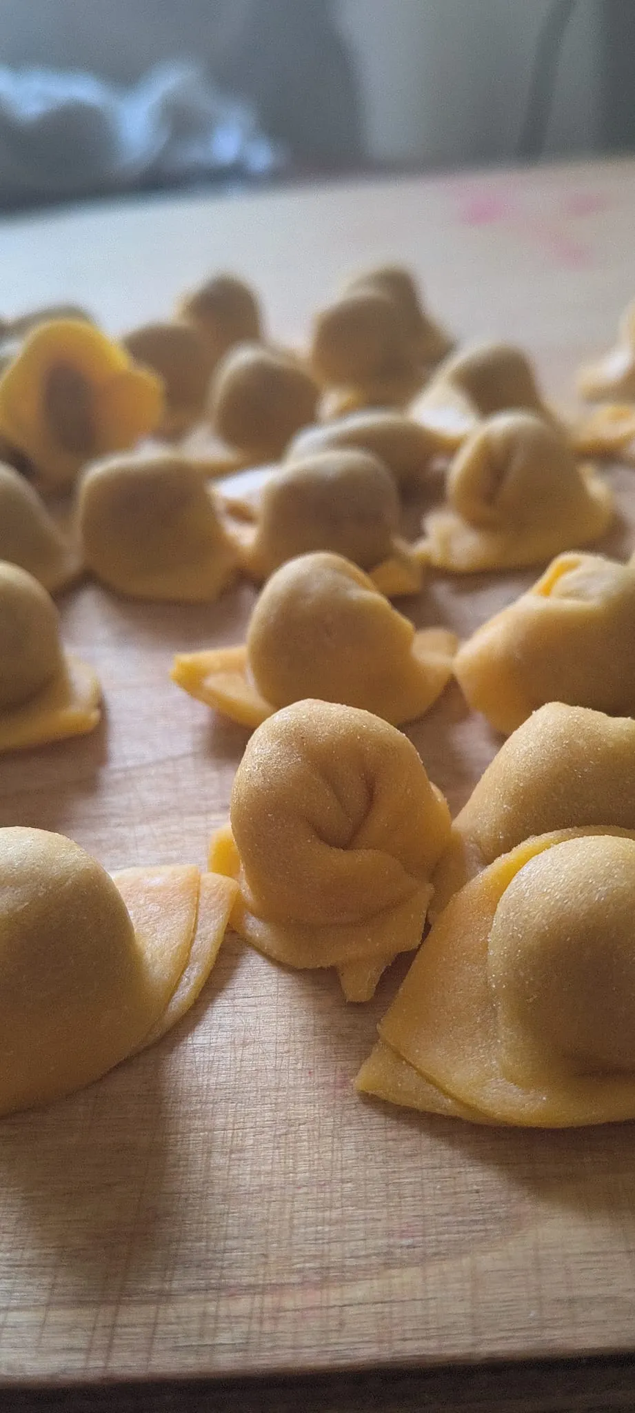 Tortelli appena chiusi, riposano sul tagliere